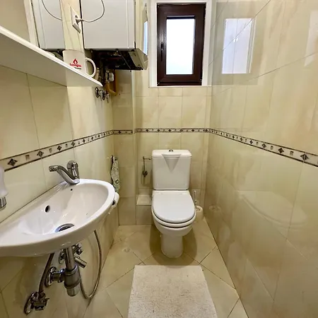 By Expert Aria Center *